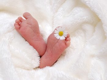 Pregnancy, Birthing, Bubs