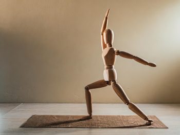 Musculoskeletal Support