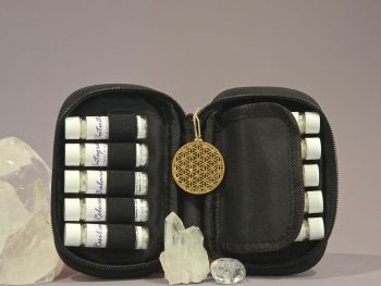 Ascension Survival Kit (ASK) - 10 Vibrational Essences